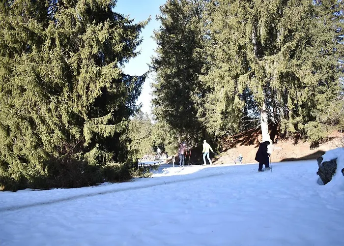 Apartamento Seegarten A 110 Wy